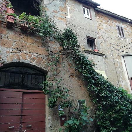 Relax Dal Caos Di Citta Apartment Barbarano Romano Екстериор снимка
