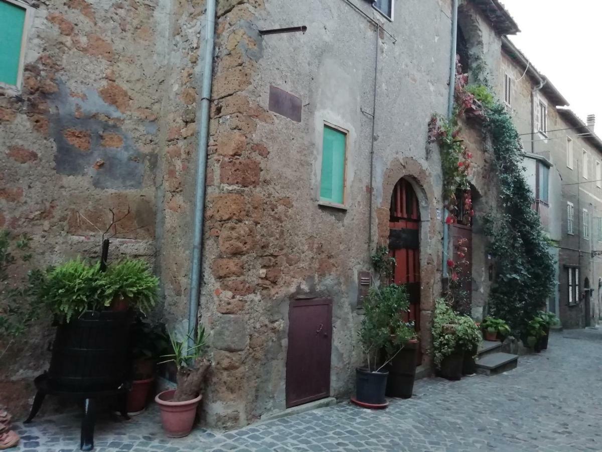 Relax Dal Caos Di Citta Apartment Barbarano Romano Екстериор снимка