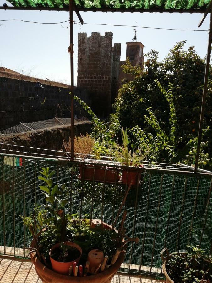 Relax Dal Caos Di Citta Apartment Barbarano Romano Екстериор снимка