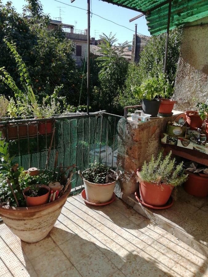 Relax Dal Caos Di Citta Apartment Barbarano Romano Екстериор снимка
